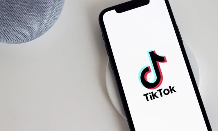 Cara Download Video TikTok dengan SnapTik, Mudah dan Gratis!